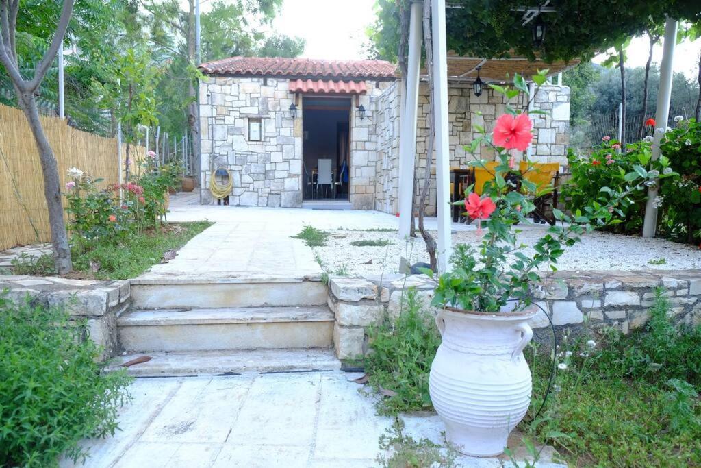 Hébergement de vacances Natural House With Sea View & Garden