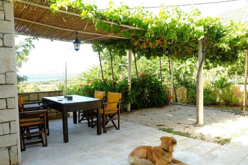 Natural House With Sea View & Garden * Héraklion
