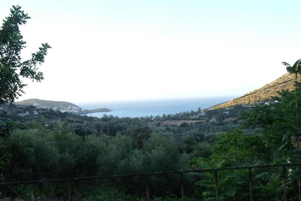 Natural House With Sea View & Garden * Héraklion