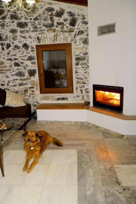 Natural House With Sea View & Garden Hébergement de vacances *